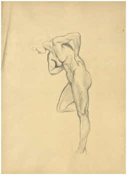 Visualizza l'immagine "FD Album 12, 3 r."